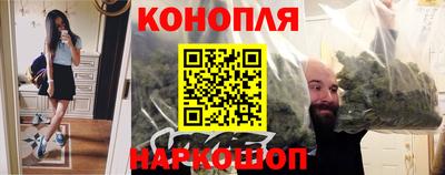 прущие грибы Мариинск