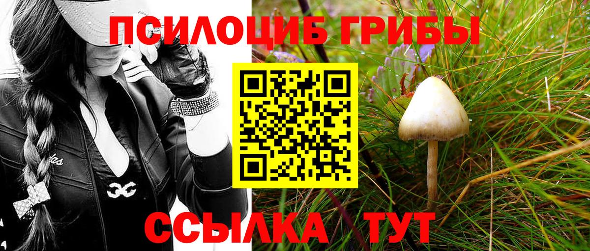 Галлюциногенные грибы ЛСД Полысаево